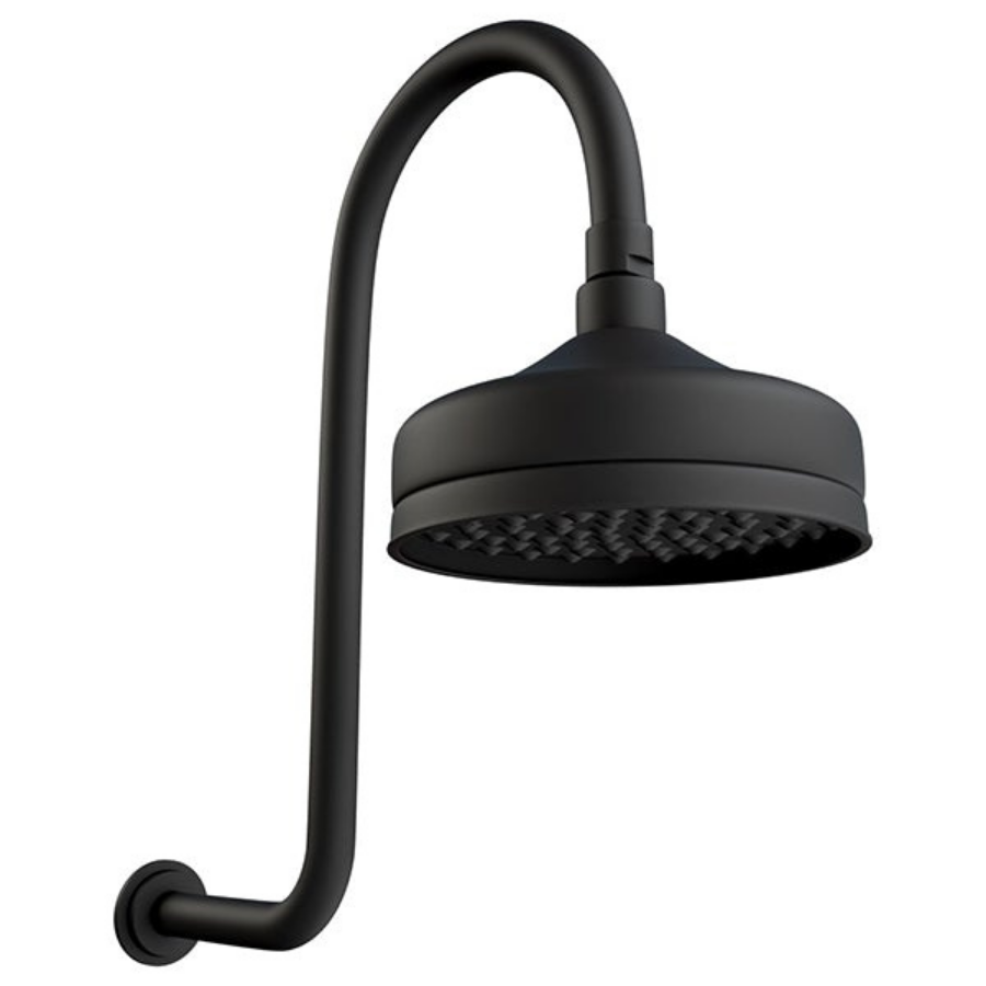 Fienza Lillian Wall Arm Shower Set - Matte Black