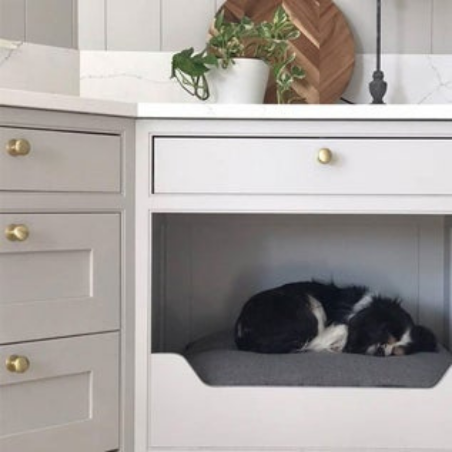 Momo Handles New Hampton Round Knob 32mm Matt Brass