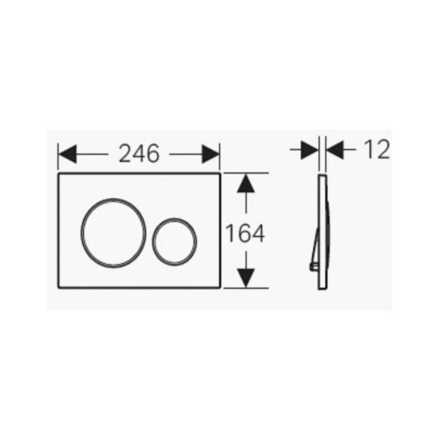 Geberit Sigma 20 Matte Plate with Chrome Trim