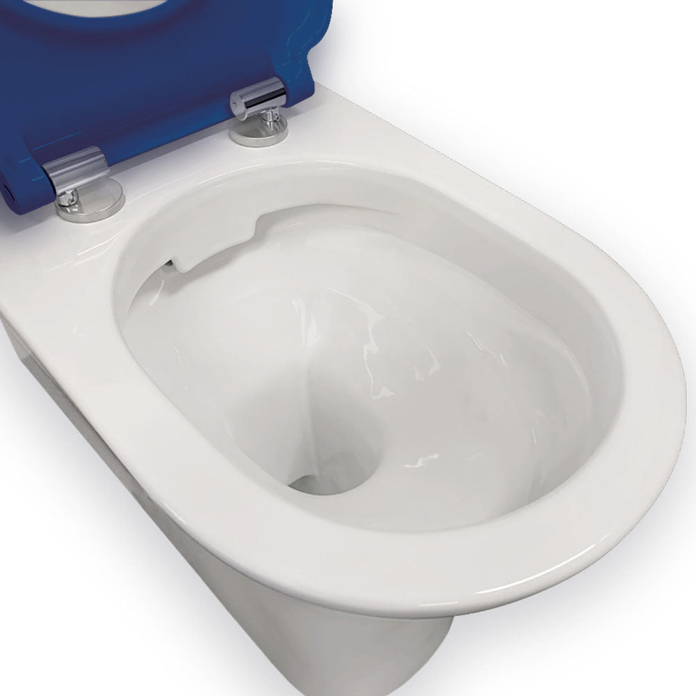 Fienza Delta Care Back-to-Wall Toilet Suite, Blue Seat S-Trap