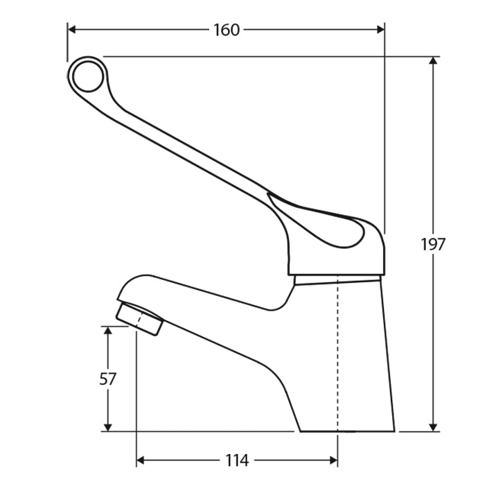 Fienza Stella Care Basin Mixer