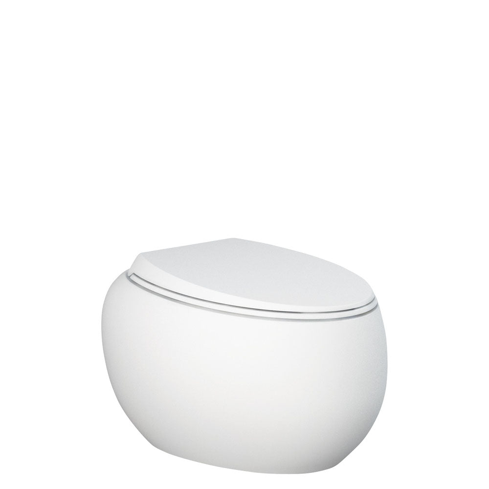 Fienza RAK Cloud Wall-Hung Toilet Suite